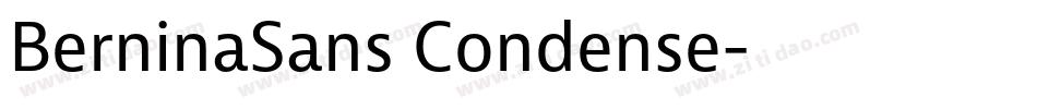 BerninaSans Condense字体转换